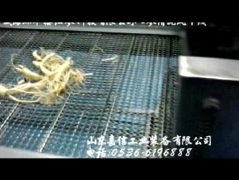 威海環(huán)翠樓人參清洗風(fēng)干線