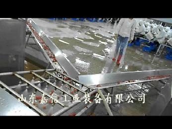 蕪湖新欣草莓清洗